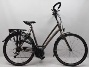 Gazelle Chamonix T24  nr. 6066
